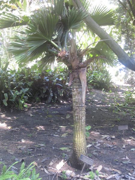 File:450px-IMG 2015 hunt0903.jpg