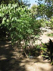 File:180px-IMG 1949 hunt09oct.jpg