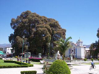 File:320px-Árbol-del-Tule-Oaxaca-Mexico.jpg