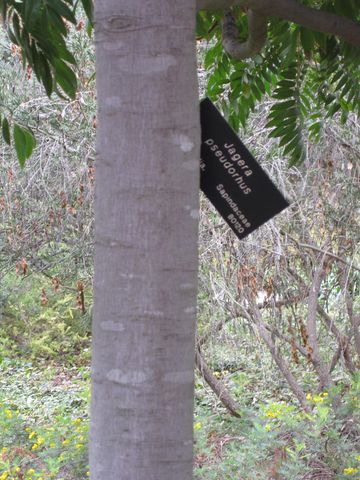 File:360px-IMG 4842 hunt0904.jpg