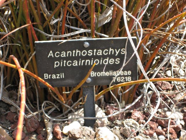 File:640px-IMG 4270 hunt0904.jpg