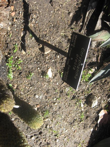 File:450px-IMG 2171 hunt0903.jpg