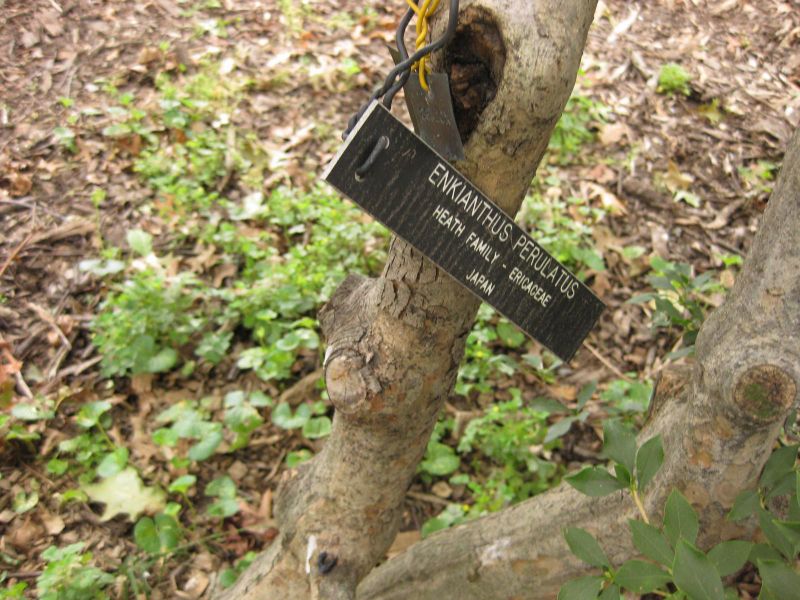 File:800px-IMG 1357 bbg09.jpg