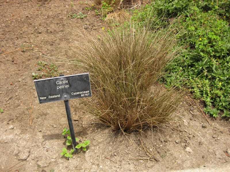 File:800px-IMG 7336 hunt09jun.jpg