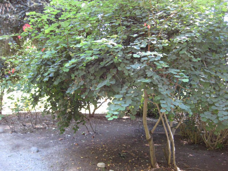 File:800px-IMG 1979 hunt09oct.jpg