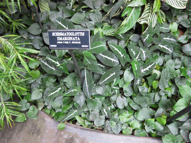 File:640px-IMG 1150 bbg09.jpg