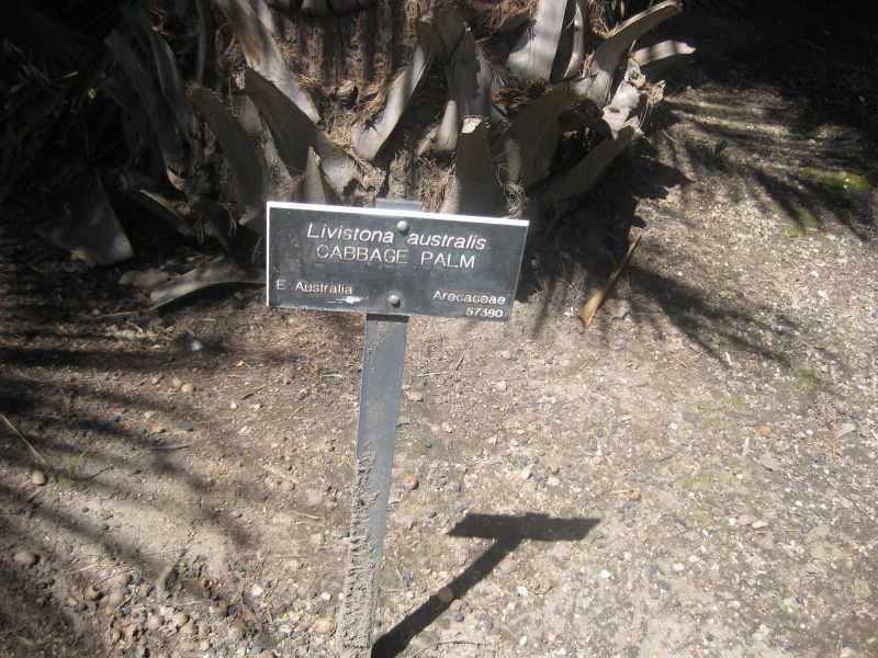 File:800px-IMG 2080 hunt0903.jpg