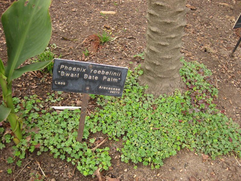 File:800px-IMG 3985 hunt0904.jpg