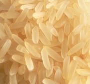 File:180px-Rice p1160004.jpg