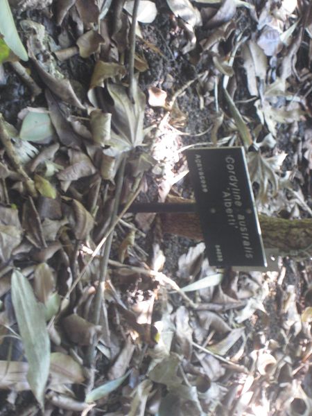 File:450px-IMG 2031 hunt0903.jpg