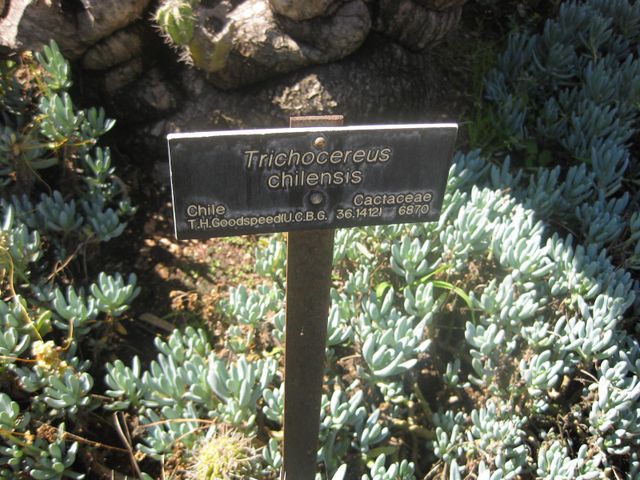 File:640px-IMG 2371 hunt0903.jpg