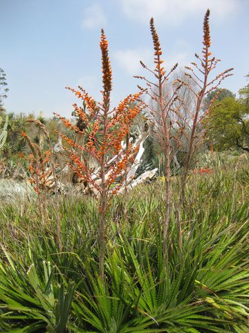 File:360px-IMG 4440 hunt0904.jpg