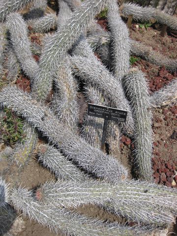 File:360px-IMG 4423 hunt0904.jpg