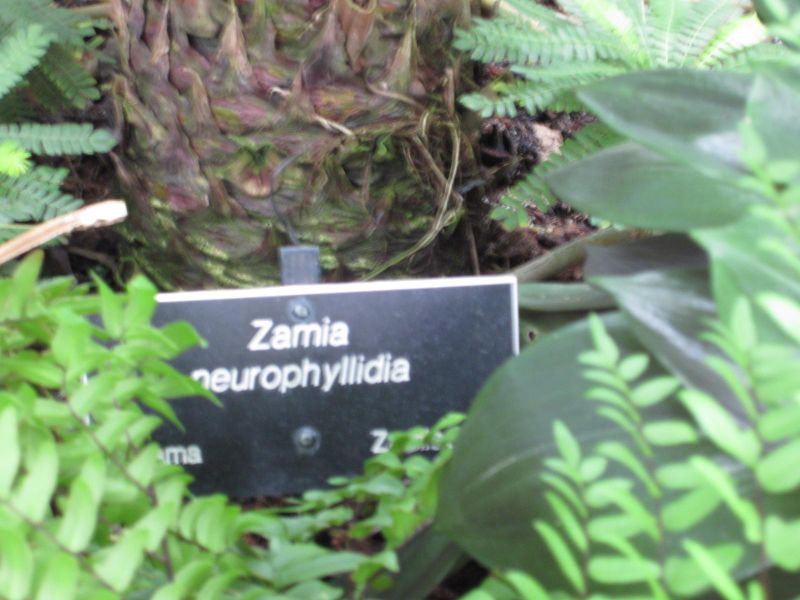 File:800px-IMG 1809 hunt09oct.jpg