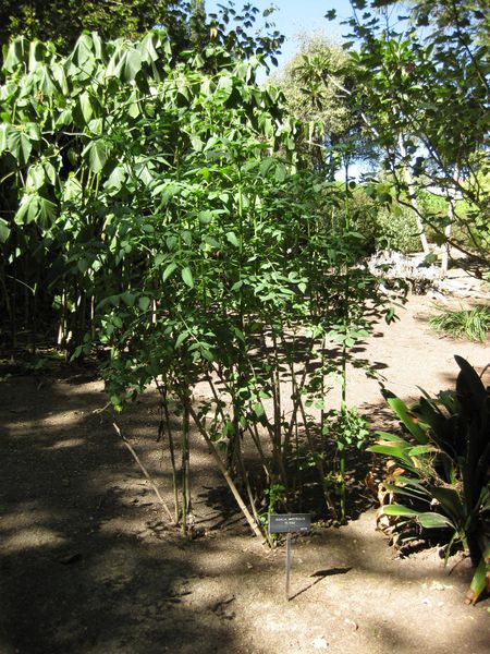 File:450px-IMG 1949 hunt09oct.jpg