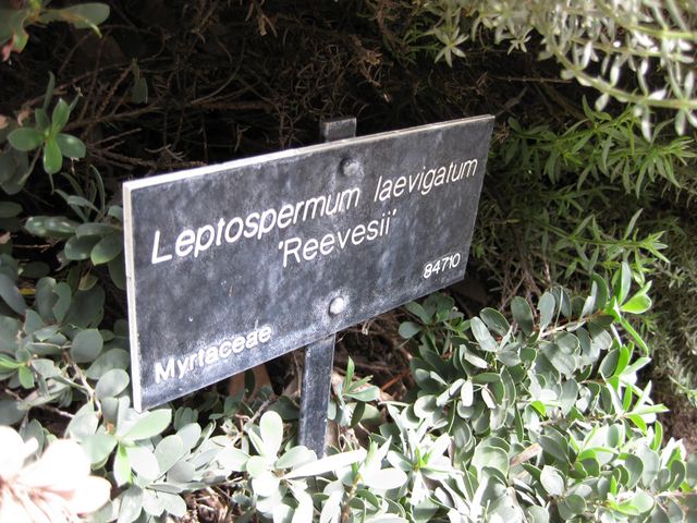 File:640px-IMG 4525 hunt0904.jpg