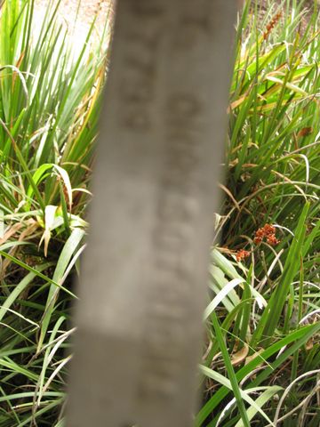 File:360px-IMG 6979 hunt09jun.jpg