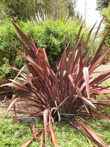 File:360px-IMG 7339 hunt09jun.jpg