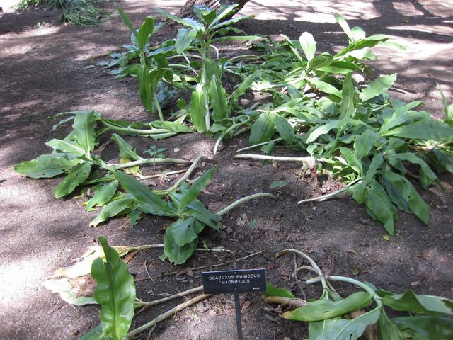 File:640px-IMG 1953 hunt09oct.jpg