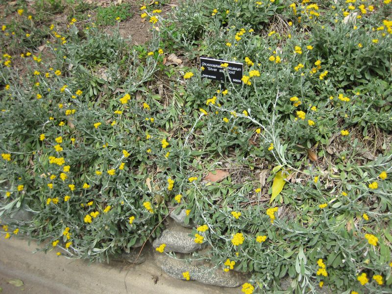 File:800px-IMG 4526 hunt0904.jpg