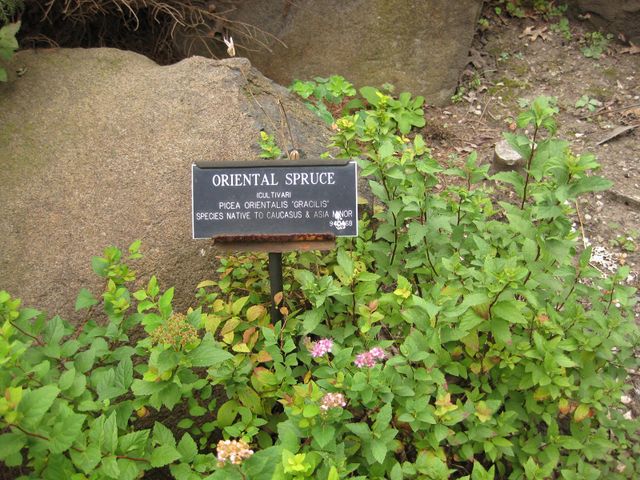 File:640px-IMG 1398 bbg09.jpg