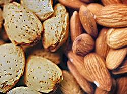 Almonds in and out of shell