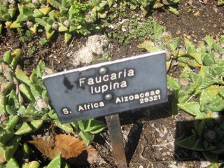 File:320px-IMG 2145 hunt0903.jpg