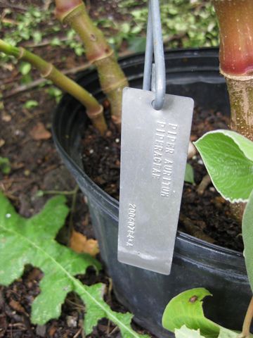 File:360px-IMG 0717 bbg09.jpg