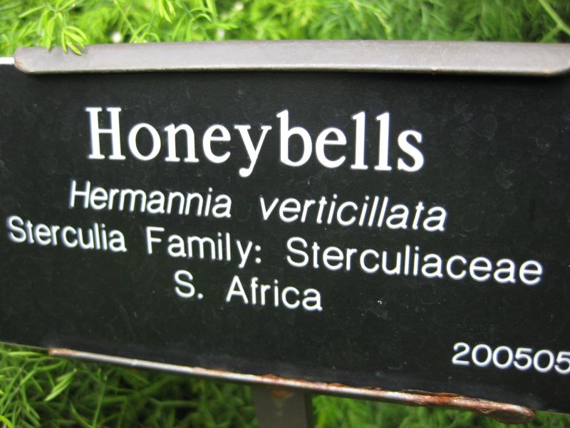 File:800px-IMG 1229 bbg09.jpg