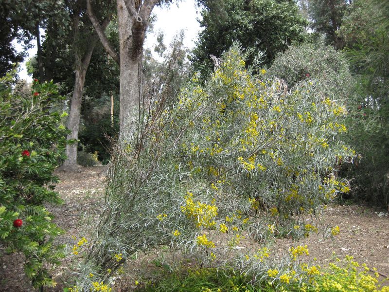 File:800px-IMG 4530 hunt0904.jpg