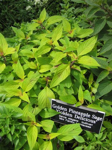 File:360px-IMG 0739 bbg09.jpg