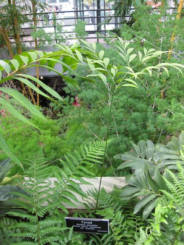 File:360px-IMG 0916 bbg09.jpg