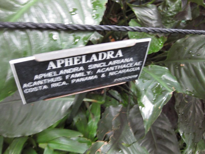 File:800px-IMG 1105 bbg09.jpg