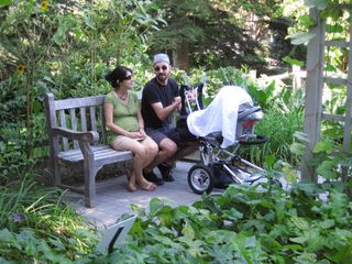 File:320px-IMG 0369 nybg09.jpg