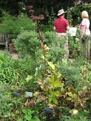 File:180px-IMG 0674 bbg09.jpg