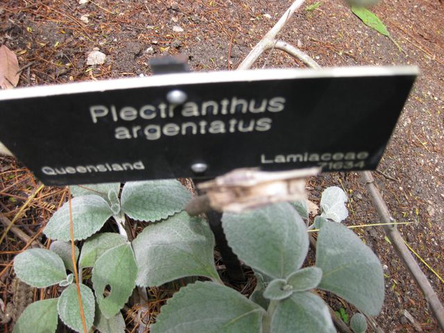 File:640px-IMG 5027 hunt0904.jpg