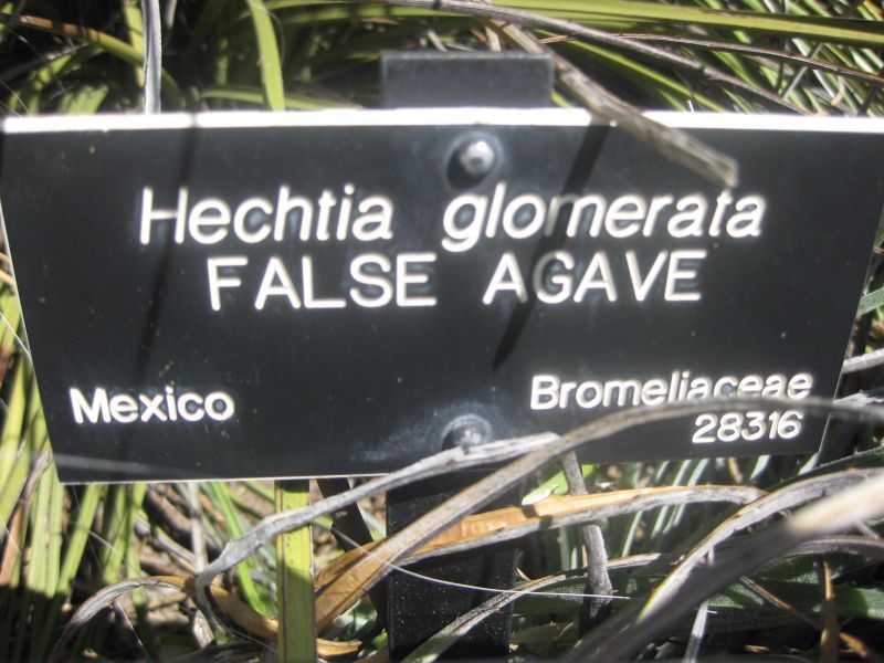 File:800px-IMG 2225 hunt0903.jpg