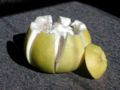 File:120px-Pummelo cut.jpg