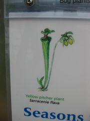 File:180px-IMG 7617 hunt09jun.jpg