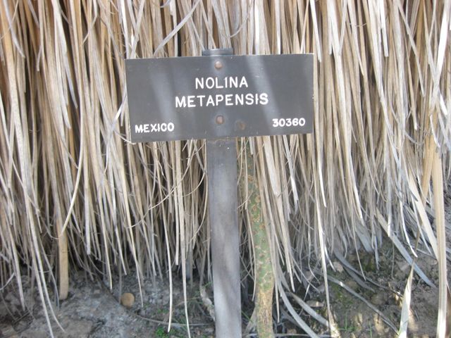 File:640px-IMG 2405 hunt0903.jpg