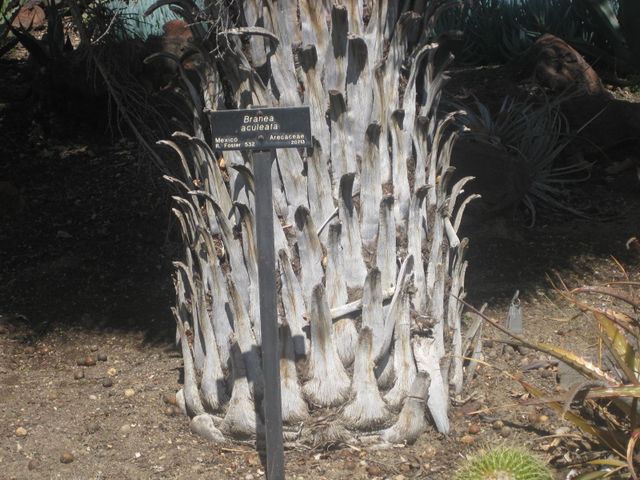 File:640px-IMG 2195 hunt0903.jpg