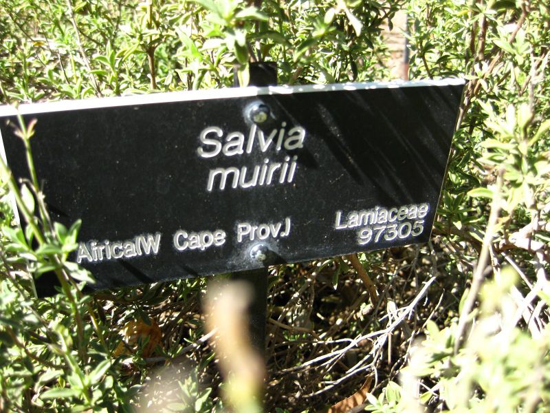 File:800px-IMG 2078 hunt09oct.jpg