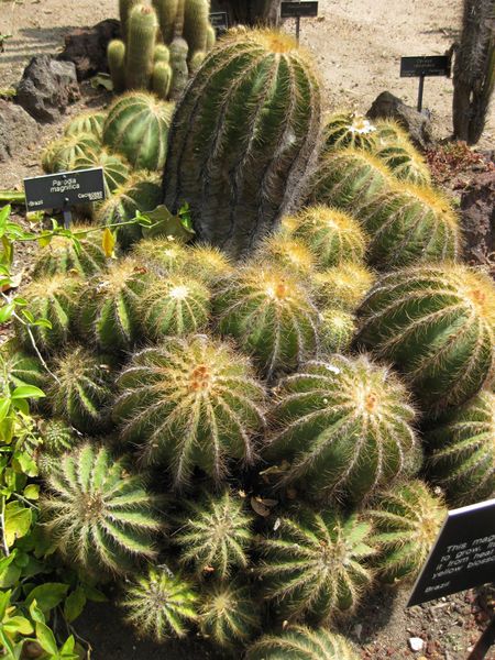 File:450px-IMG 4274 hunt0904.jpg