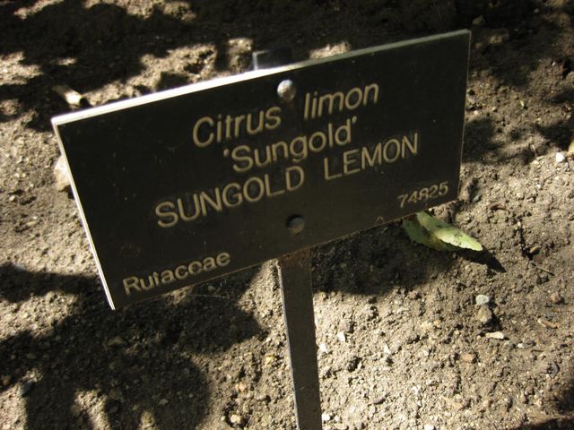 File:640px-IMG 1881 hunt09oct.jpg