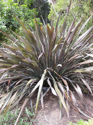 File:360px-IMG 4480 hunt0904.jpg