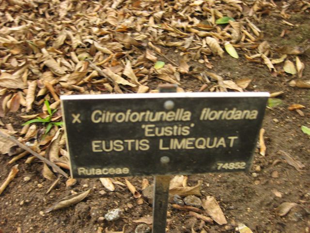 File:640px-IMG 6922 hunt09jun.jpg