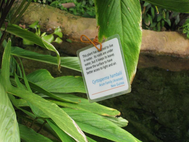 File:800px-IMG 1738 hunt09oct.jpg