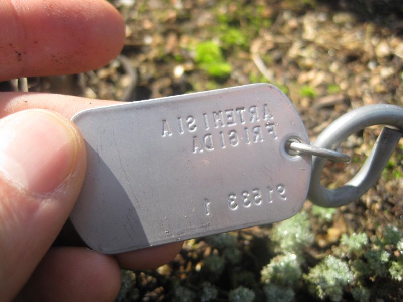 File:800px-IMG 2362 hunt0903.jpg