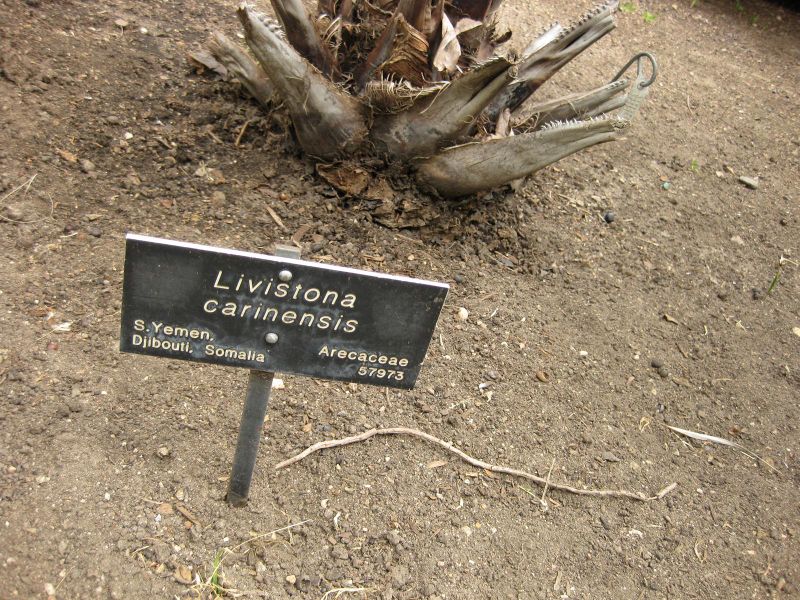 File:800px-IMG 4065 hunt0904.jpg