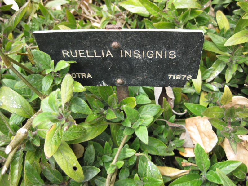 File:800px-IMG 5141 hunt0904.jpg